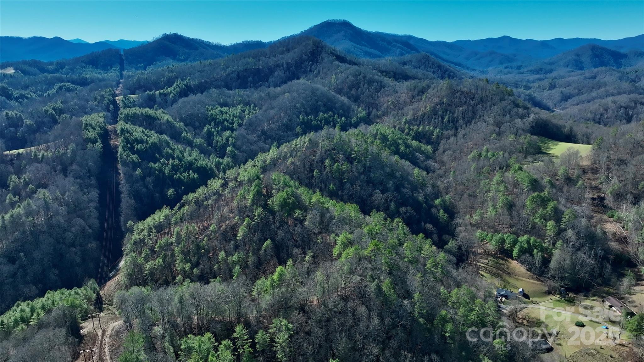 295 Bennett Branch Road Green Mountain NC 28740