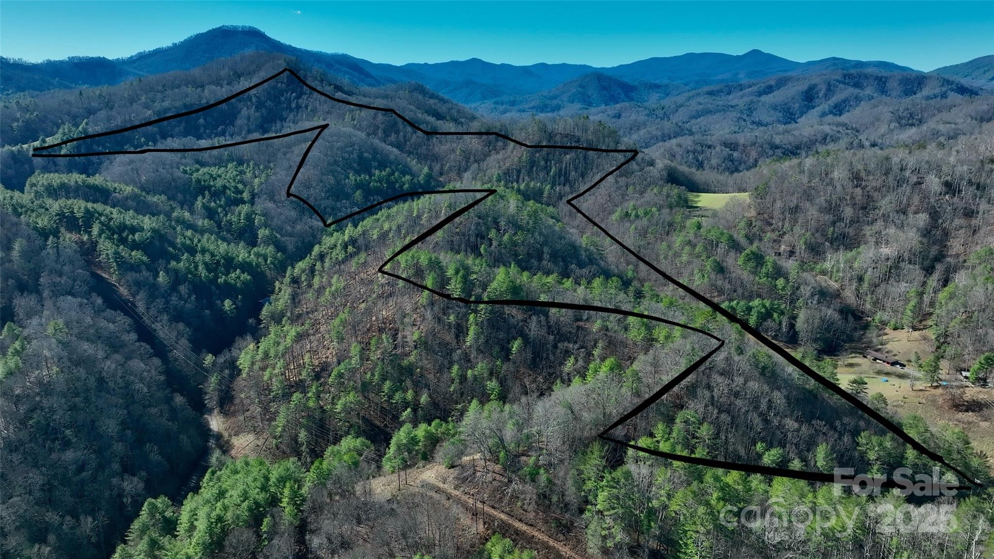 295 Bennett Branch Road Green Mountain NC 28740