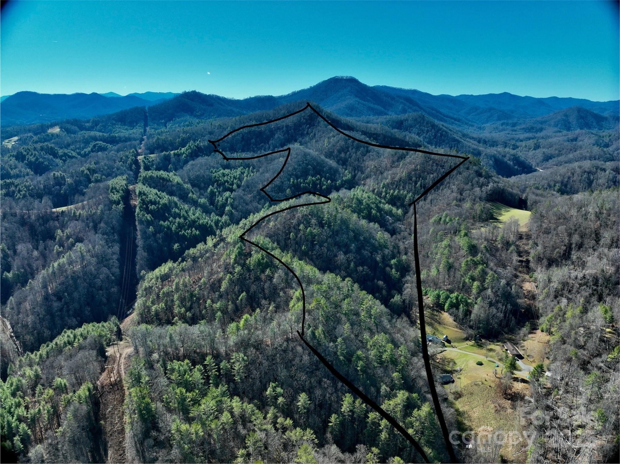 295 Bennett Branch Road Green Mountain NC 28740