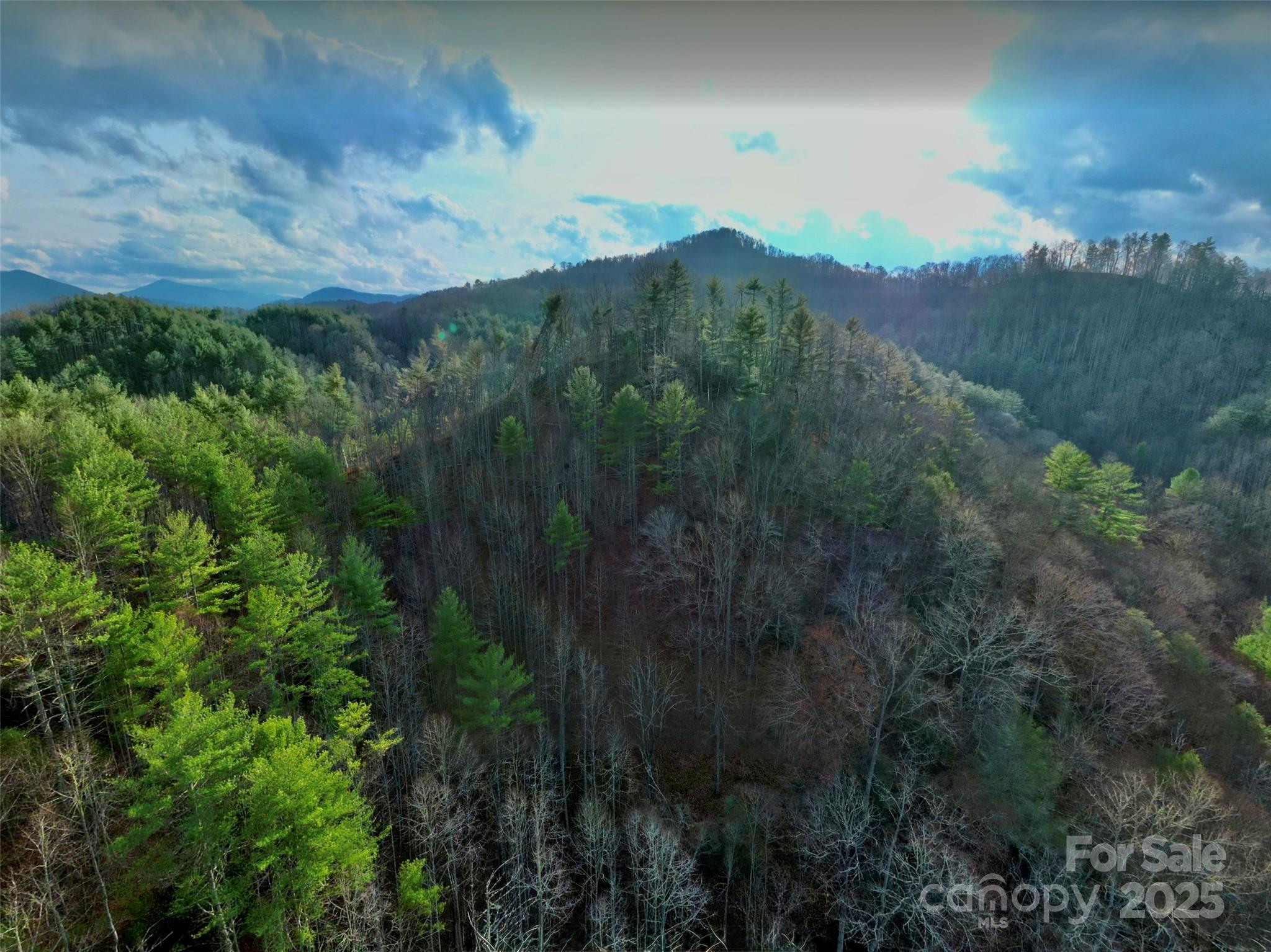 295 Bennett Branch Road Green Mountain NC 28740