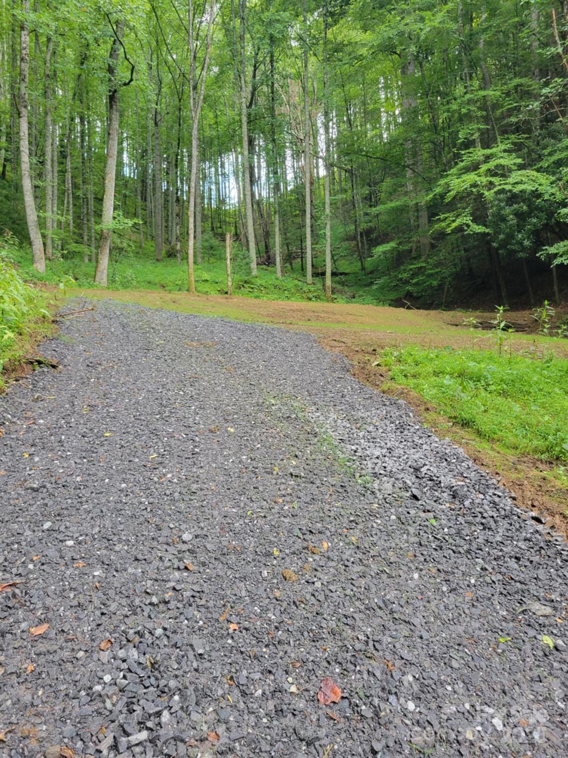 295 Bennett Branch Road Green Mountain NC 28740