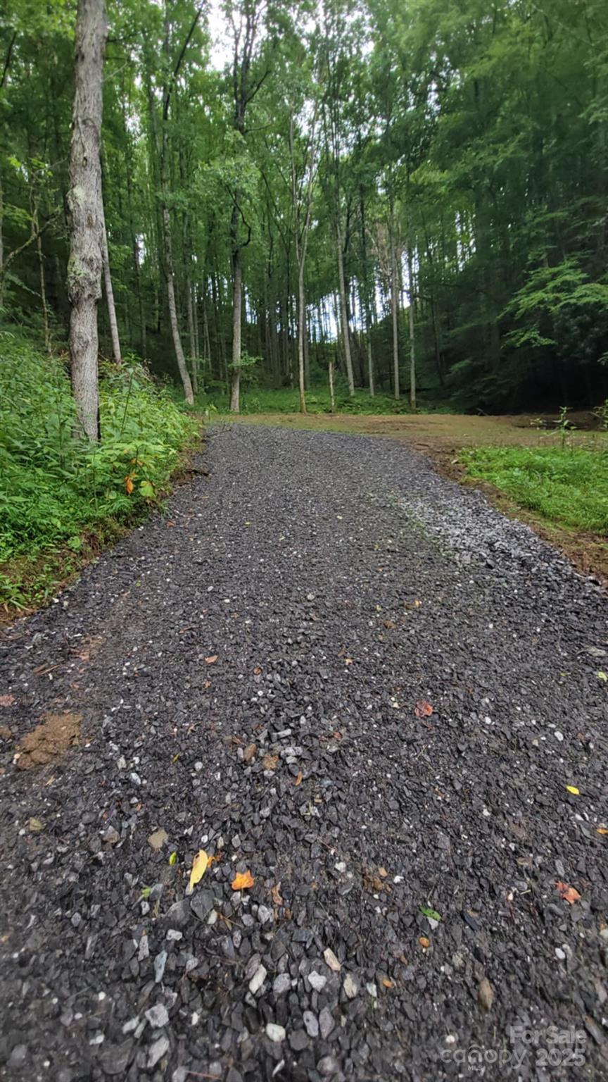 295 Bennett Branch Road Green Mountain NC 28740