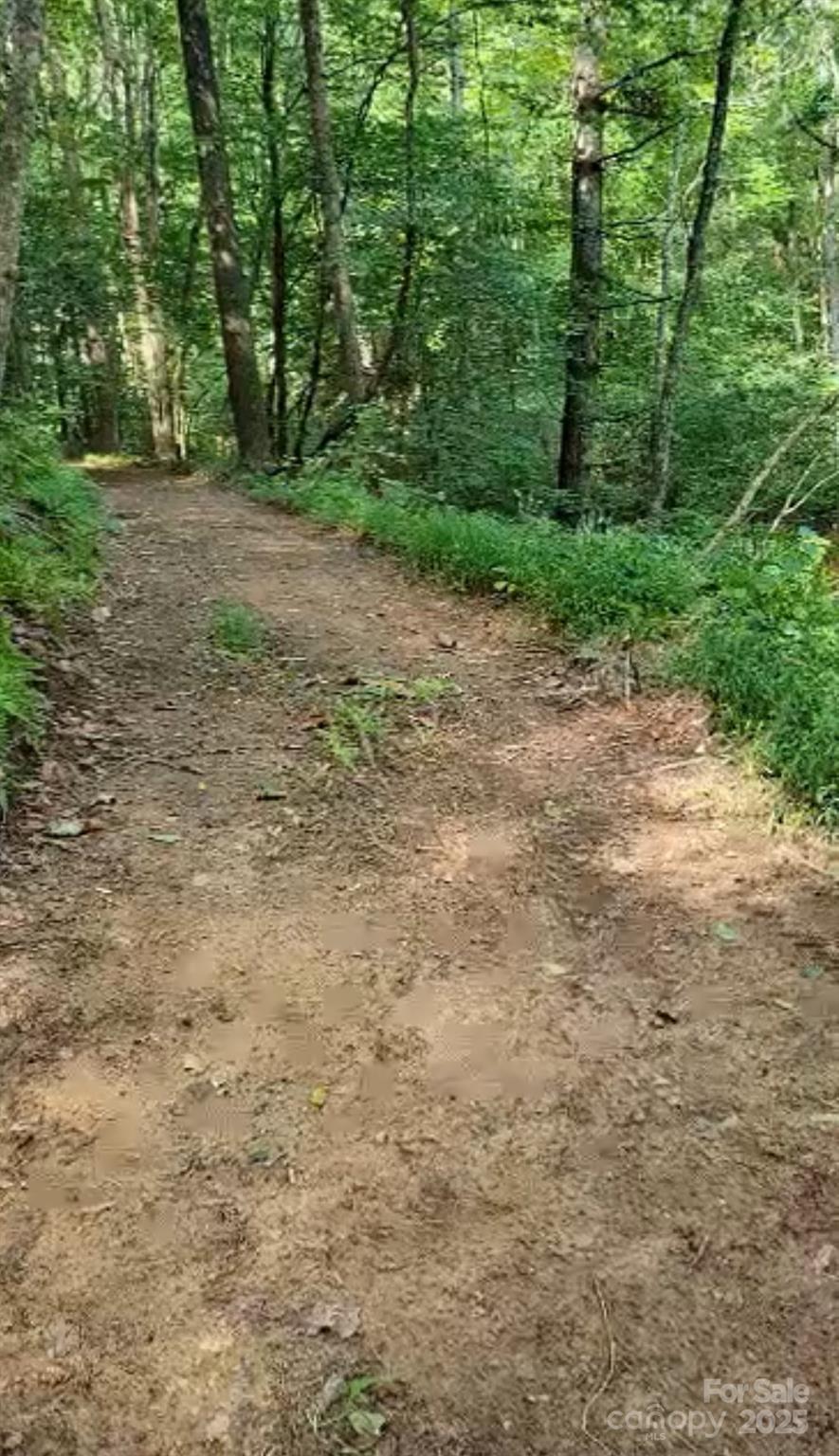 295 Bennett Branch Road Green Mountain NC 28740