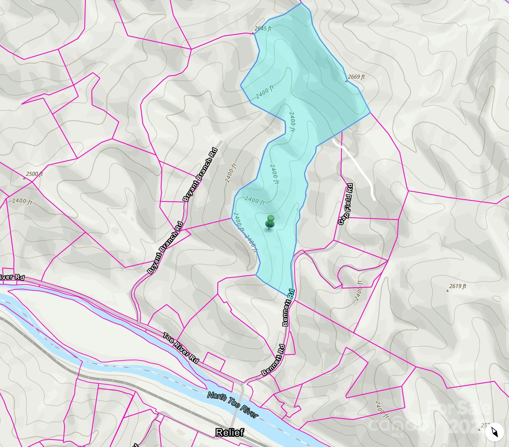 295 Bennett Branch Road Green Mountain NC 28740