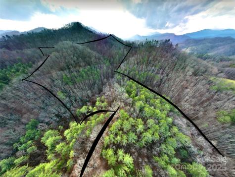 295 Bennett Branch Road Green Mountain NC 28740
