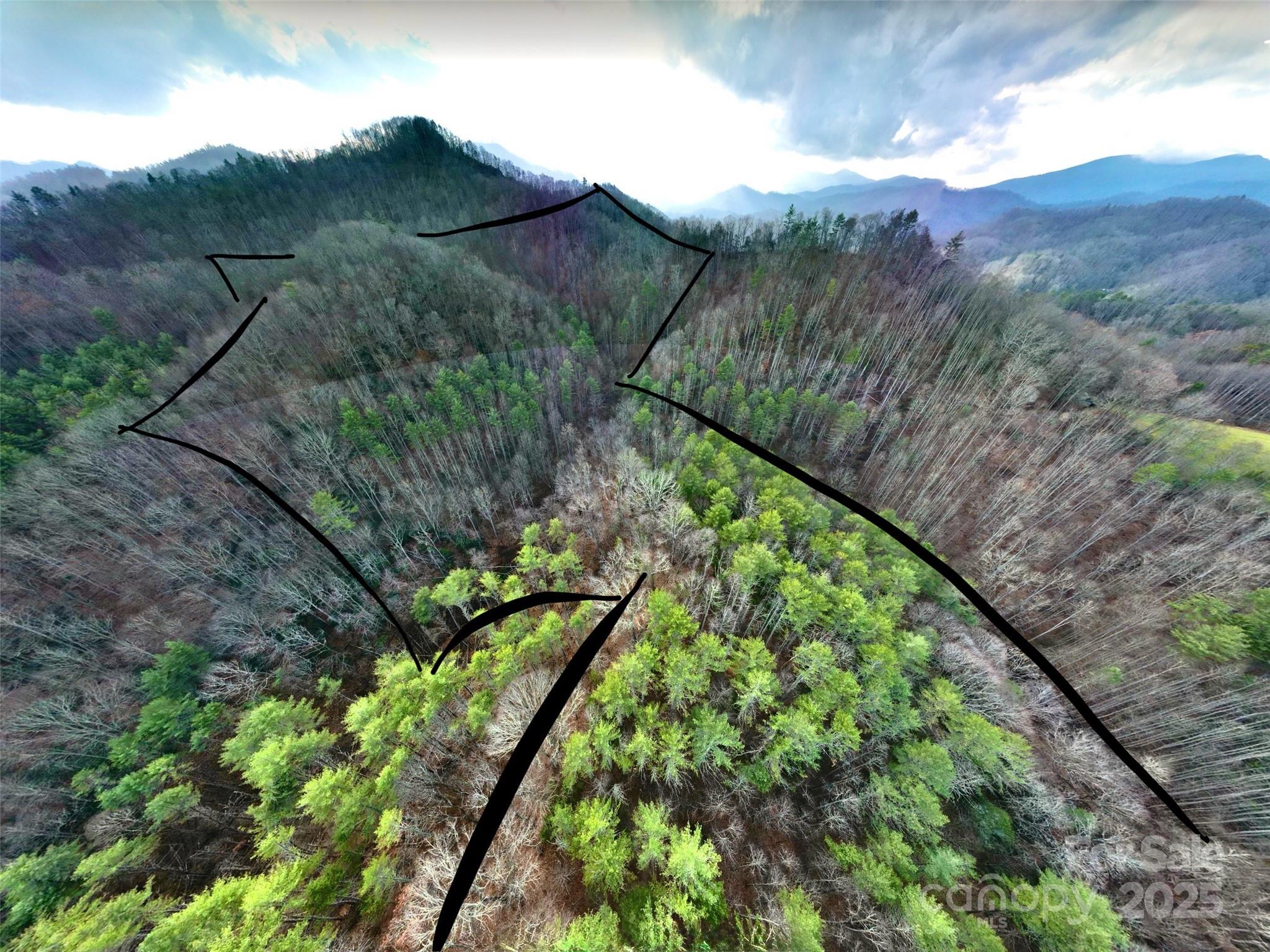 295 Bennett Branch Road Green Mountain NC 28740