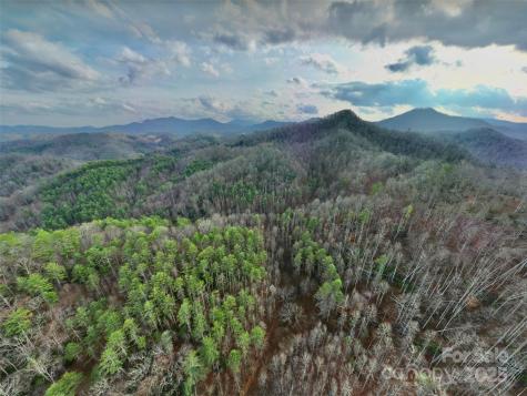295 Bennett Branch Road Green Mountain NC 28740