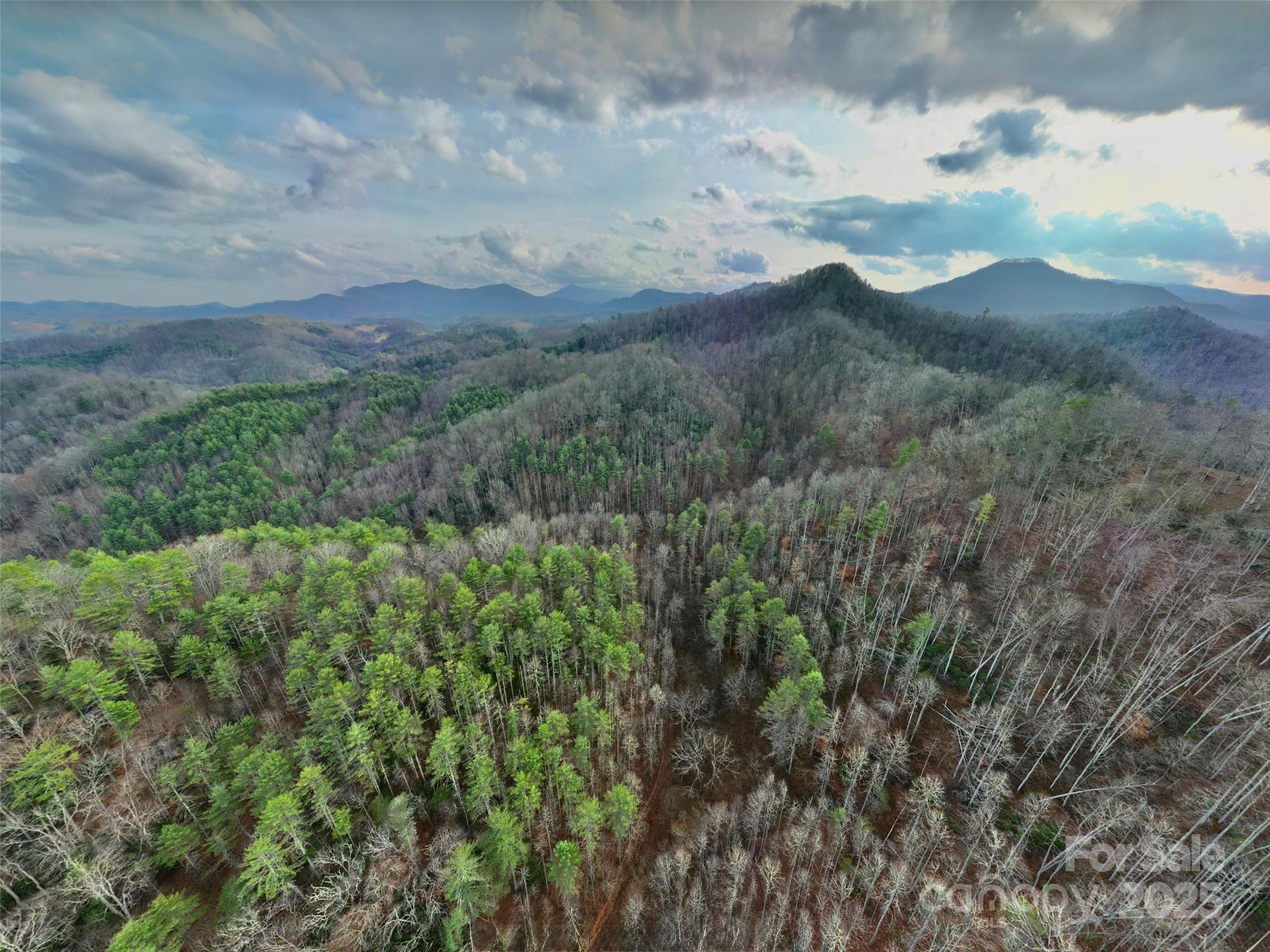 295 Bennett Branch Road Green Mountain NC 28740
