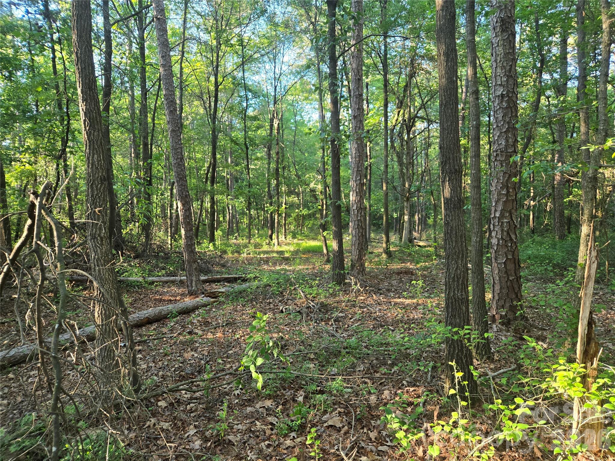 0000 218 Highway E Marshville NC 28103