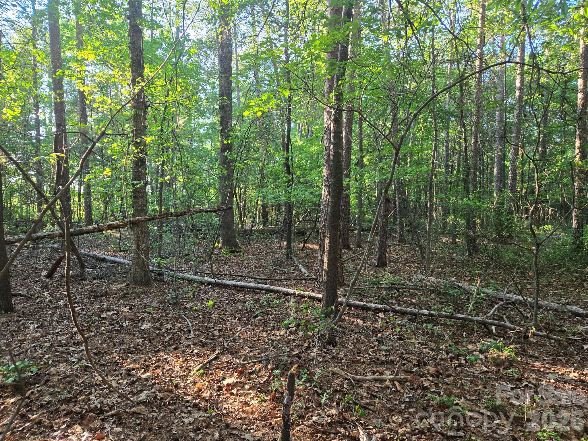 0000 218 Highway E Marshville NC 28103