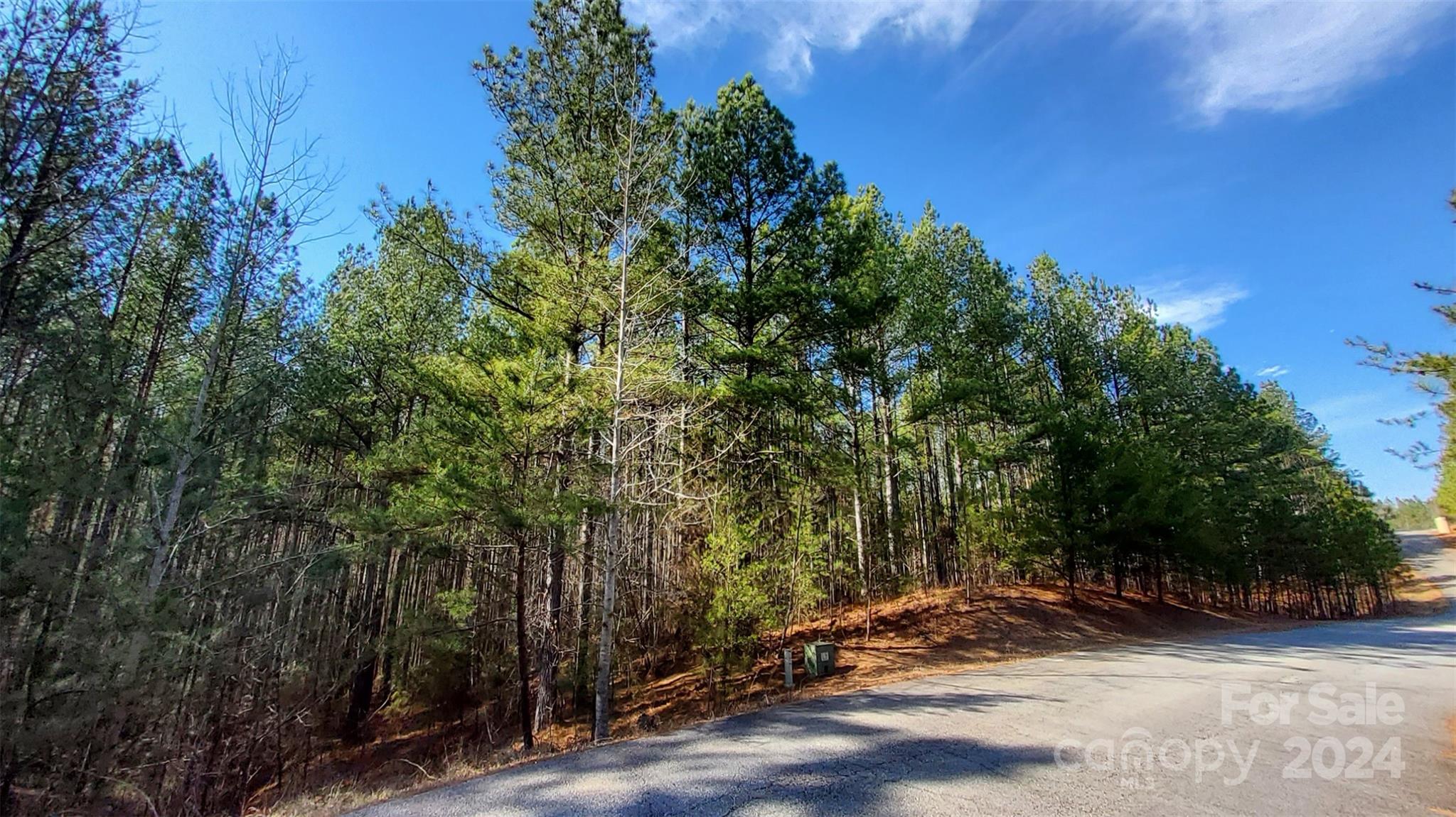 0 Sunset Drive Mill Spring NC 28756