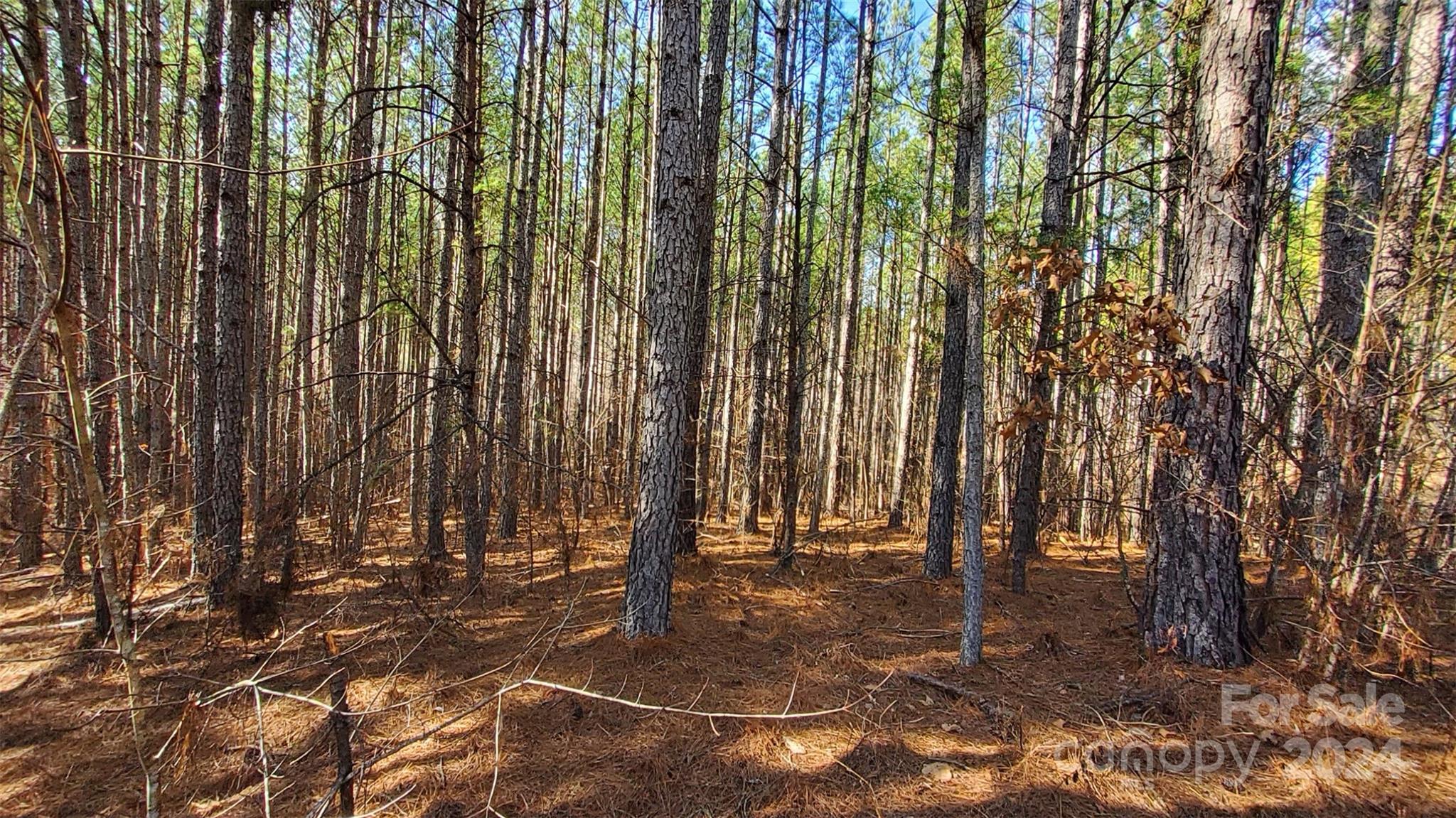 0 Sunset Drive Mill Spring NC 28756