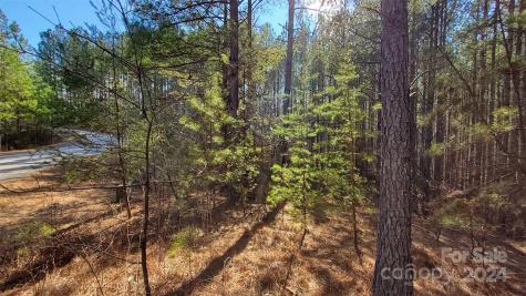 0 Sunset Drive Mill Spring NC 28756