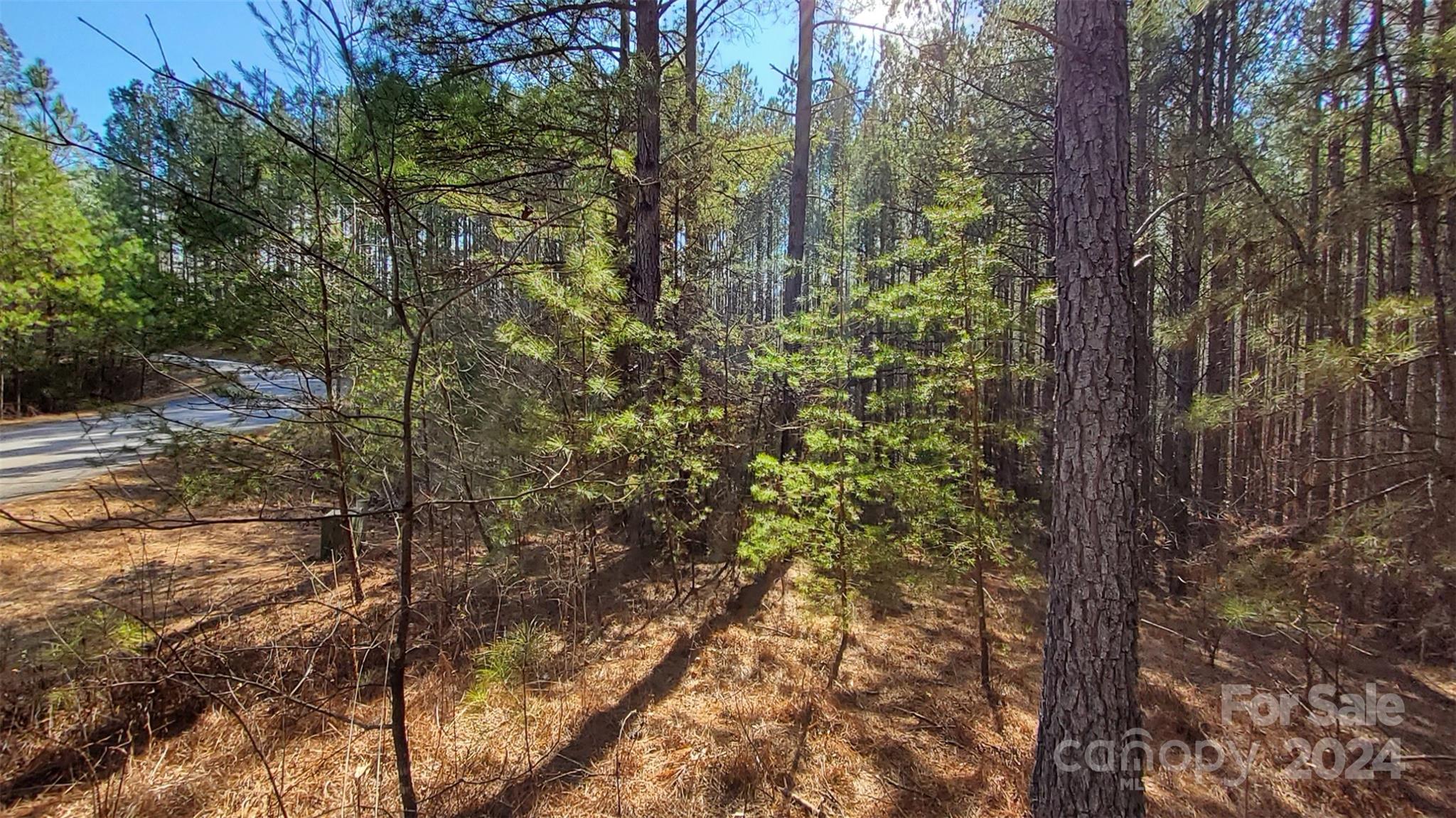 0 Sunset Drive Mill Spring NC 28756