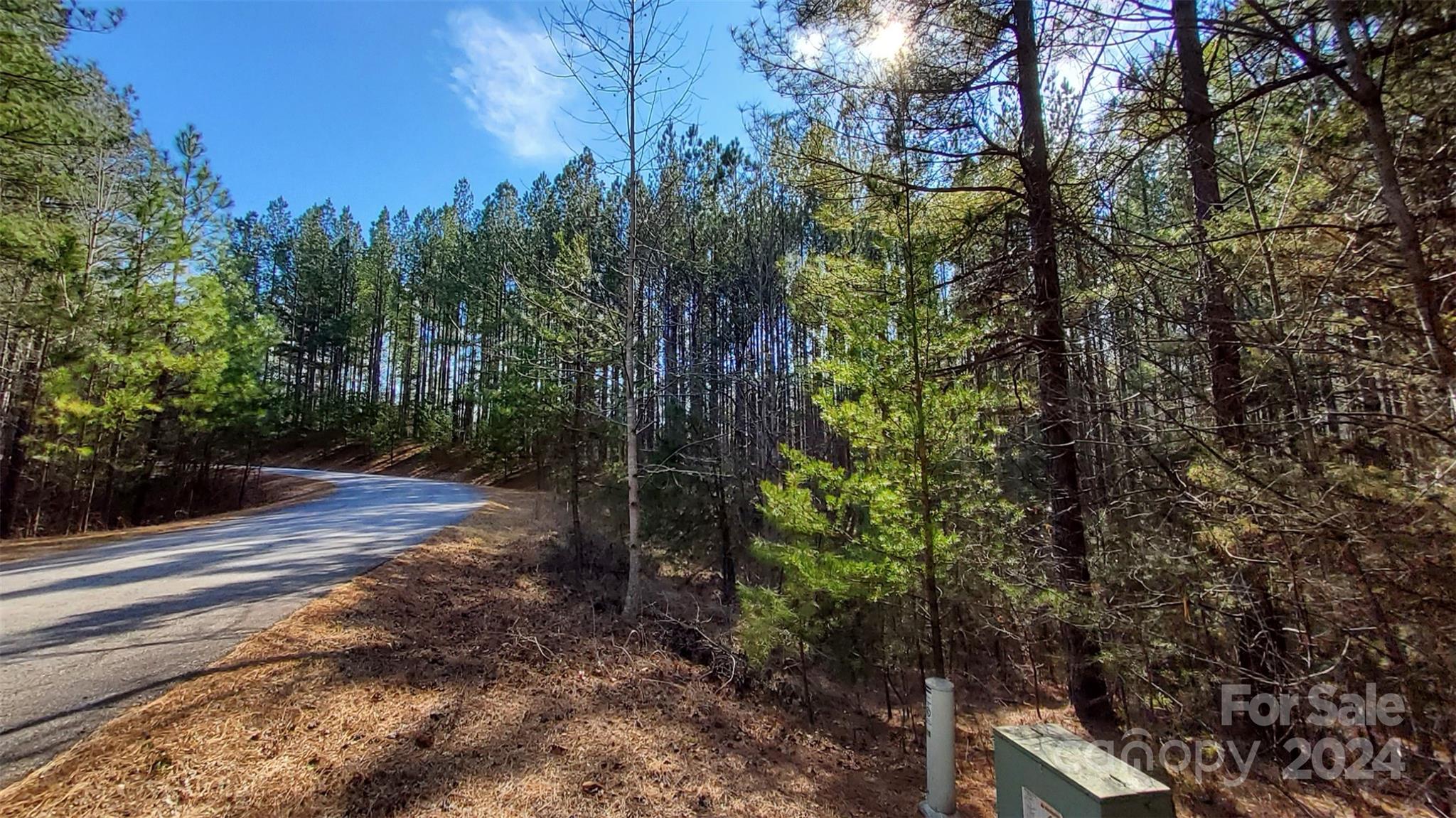 0 Sunset Drive Mill Spring NC 28756
