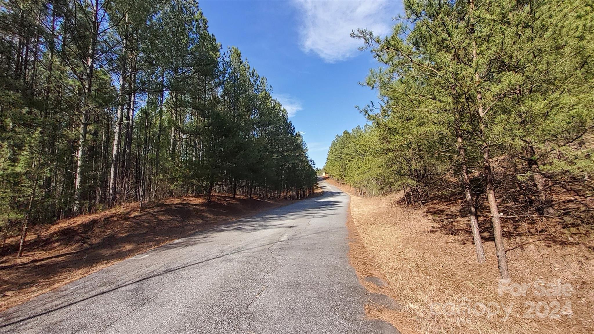 0 Sunset Drive Mill Spring NC 28756