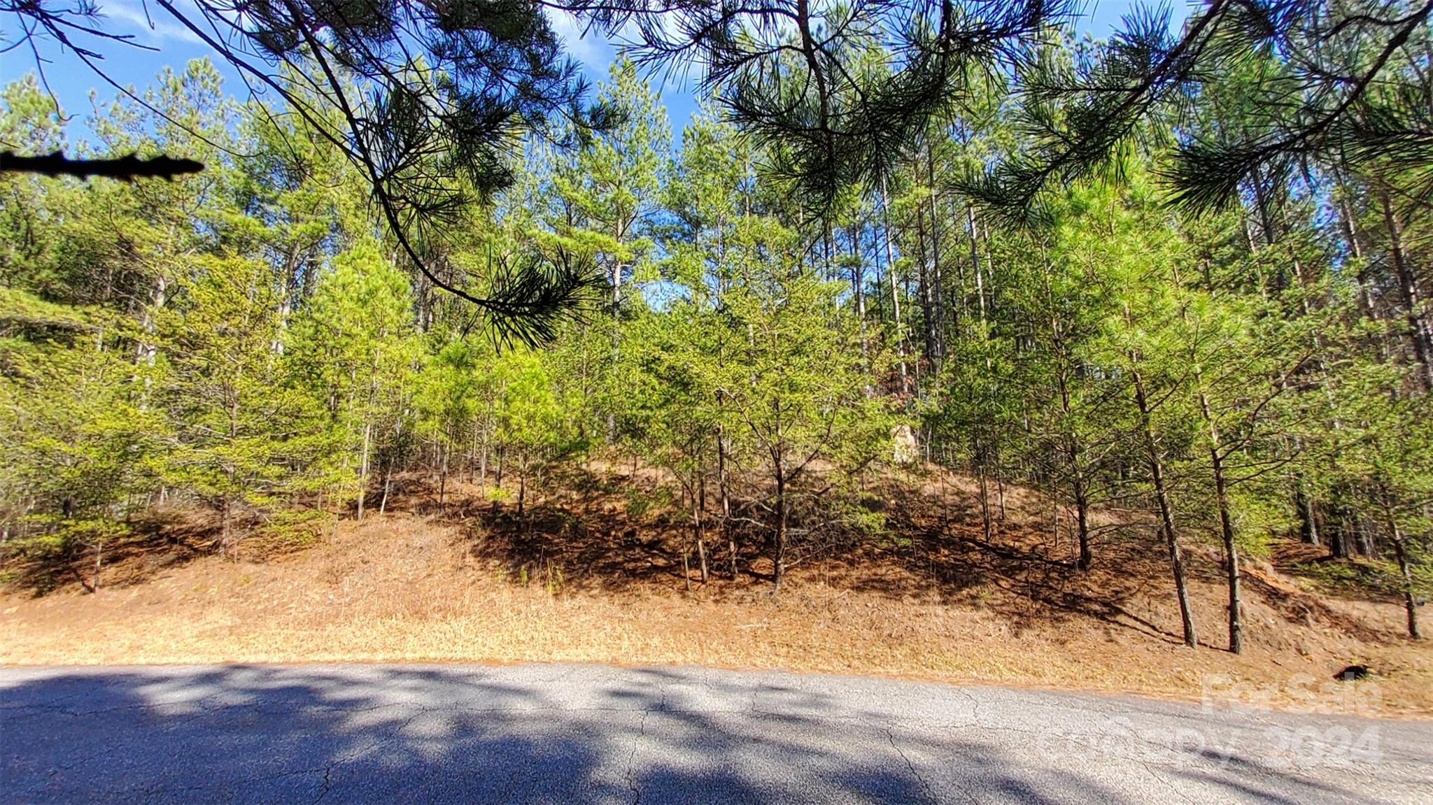 0 Sunset Drive Mill Spring NC 28756