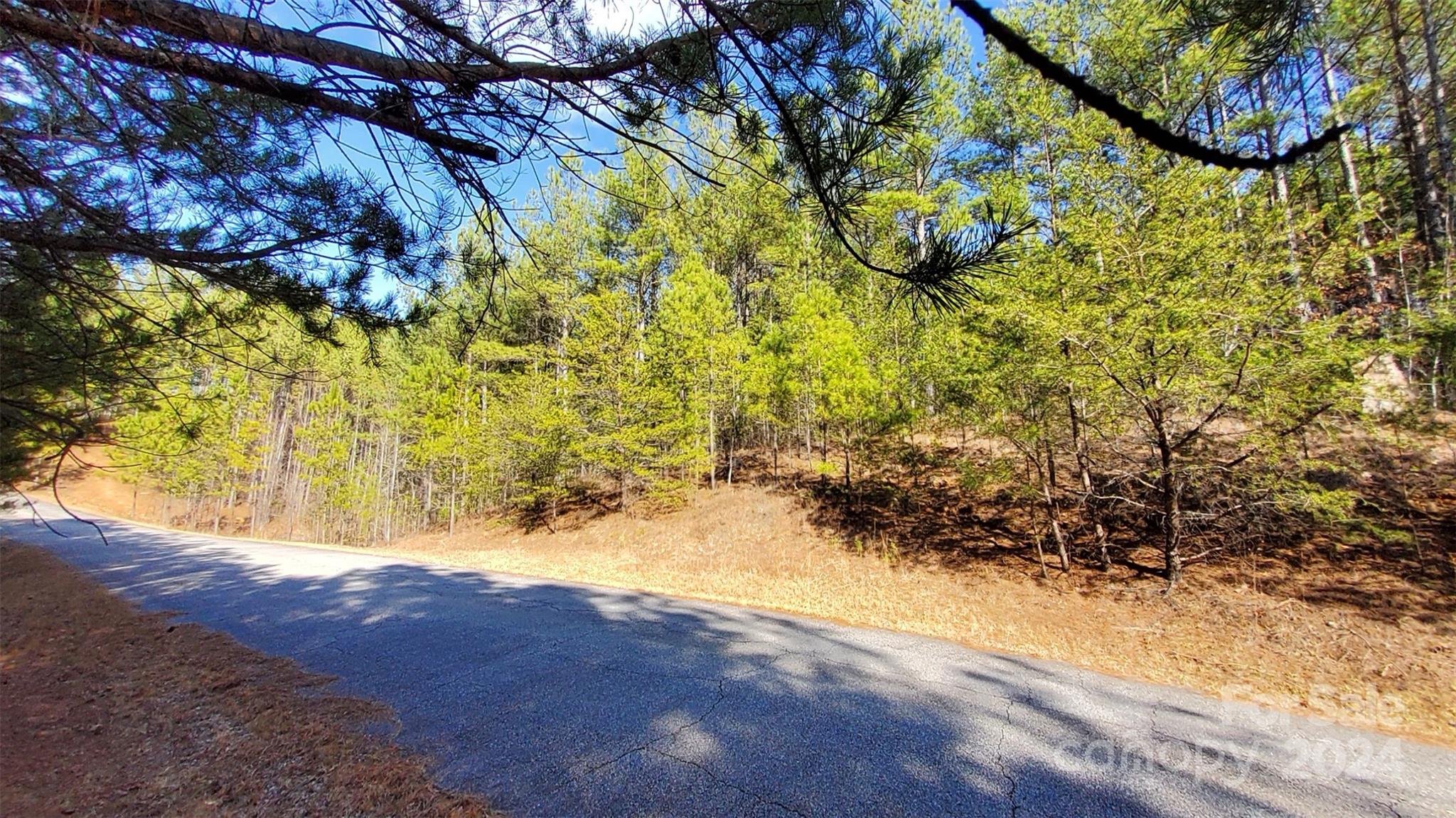 0 Sunset Drive Mill Spring NC 28756