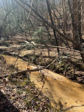 0 Sunset Drive Mill Spring NC 28756