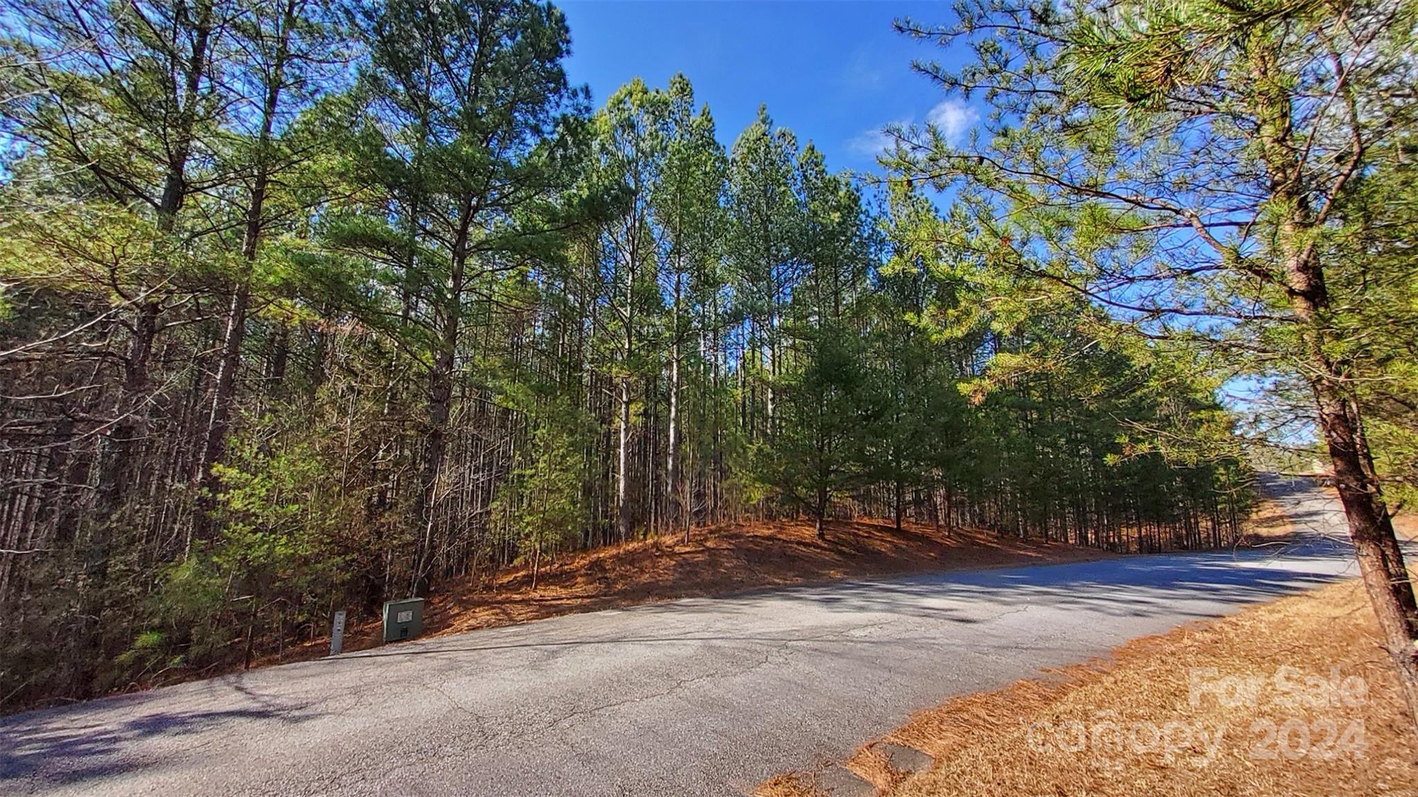 0 Sunset Drive Mill Spring NC 28756