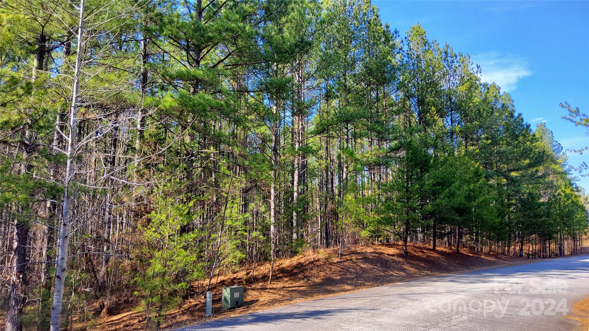 0 Sunset Drive Mill Spring NC 28756