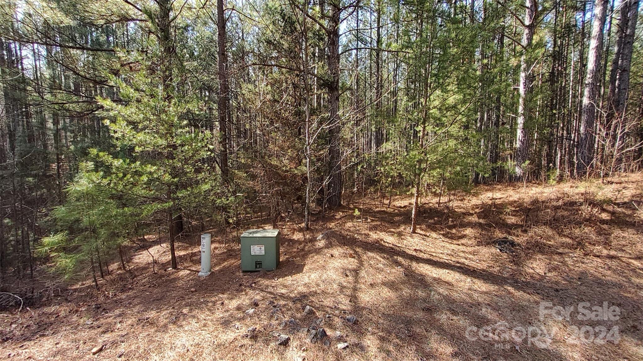 0 Sunset Drive Mill Spring NC 28756
