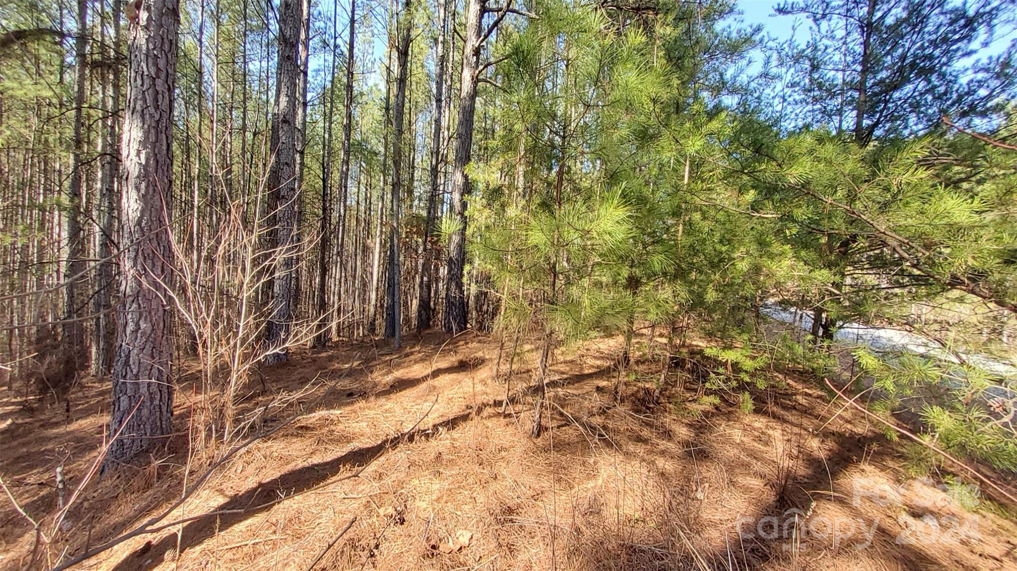 0 Sunset Drive Mill Spring NC 28756