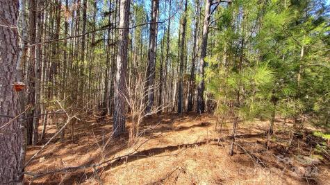 0 Sunset Drive Mill Spring NC 28756