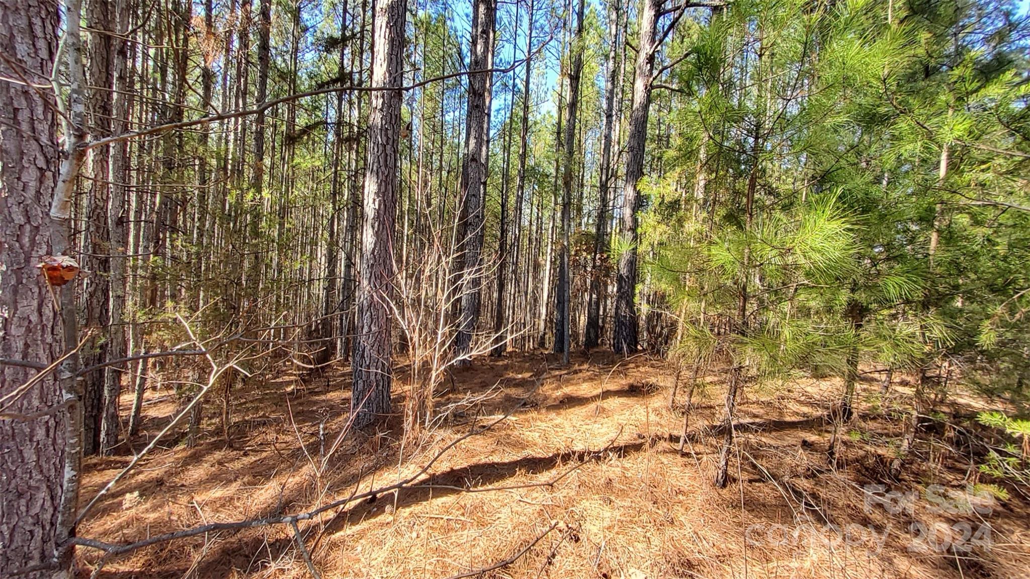 0 Sunset Drive Mill Spring NC 28756