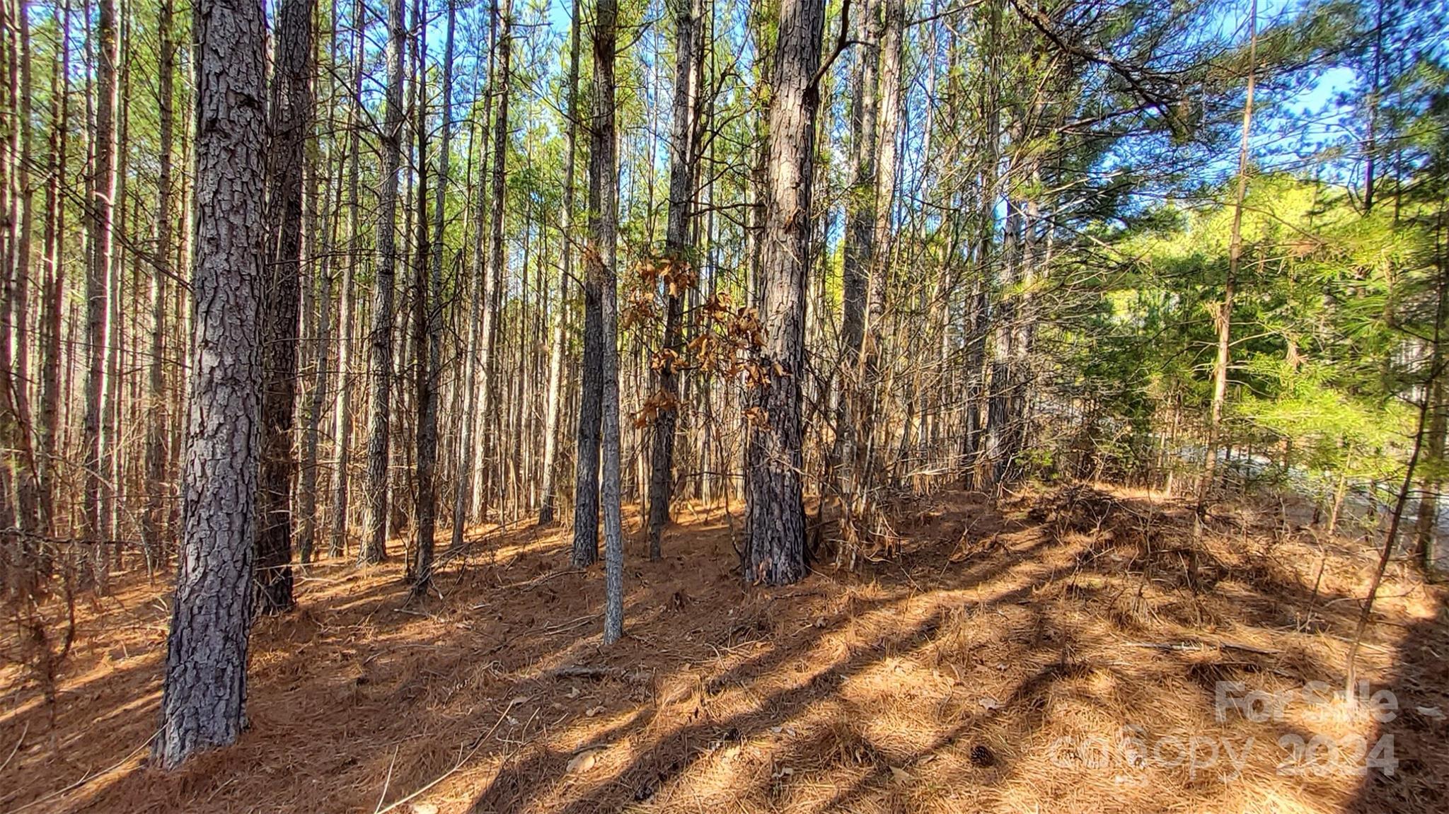 0 Sunset Drive Mill Spring NC 28756