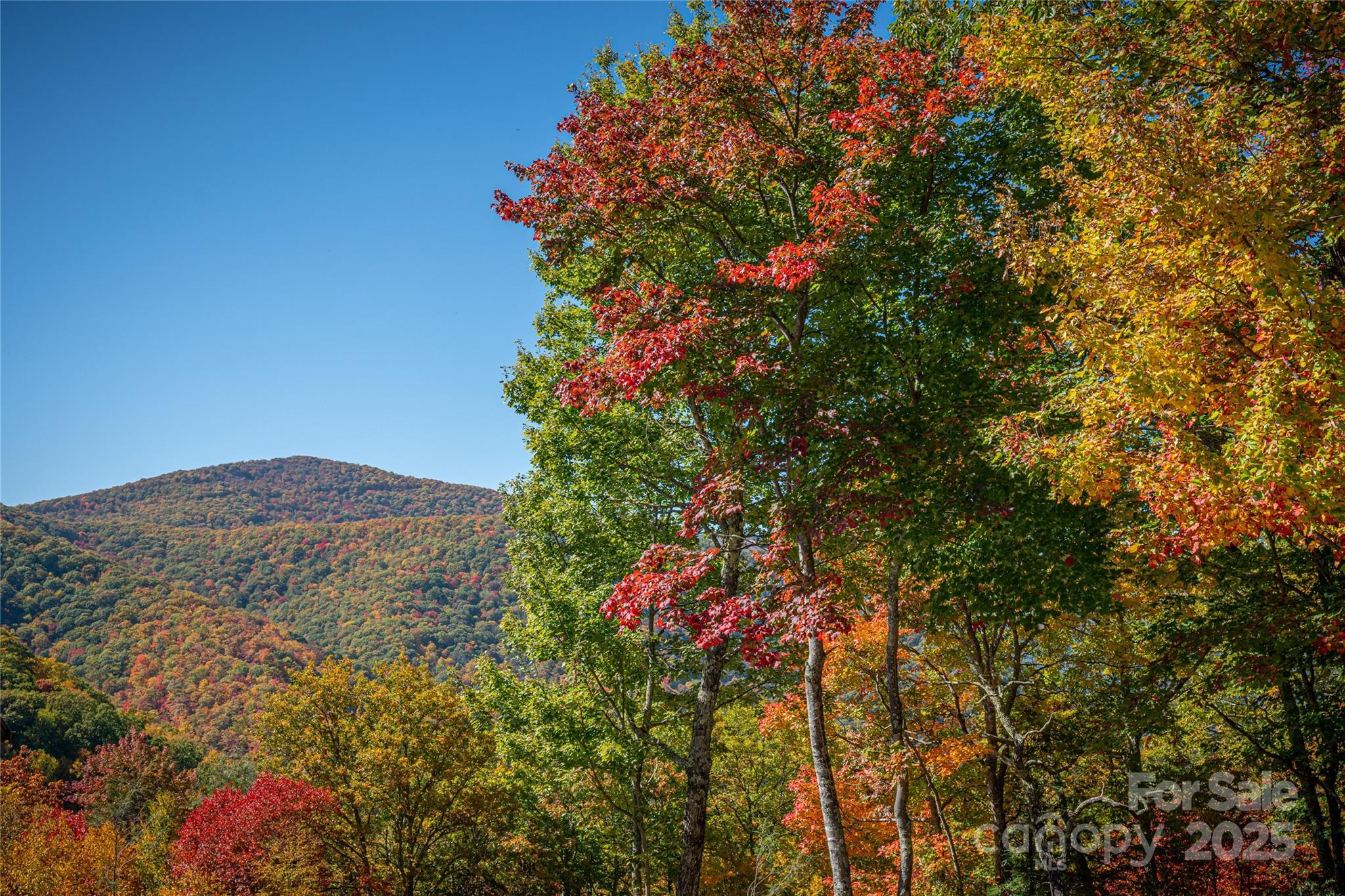 202 Nuthatch Lane Maggie Valley NC 28751