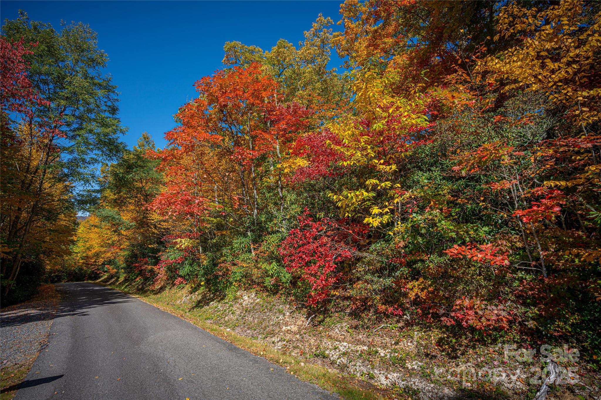 202 Nuthatch Lane Maggie Valley NC 28751