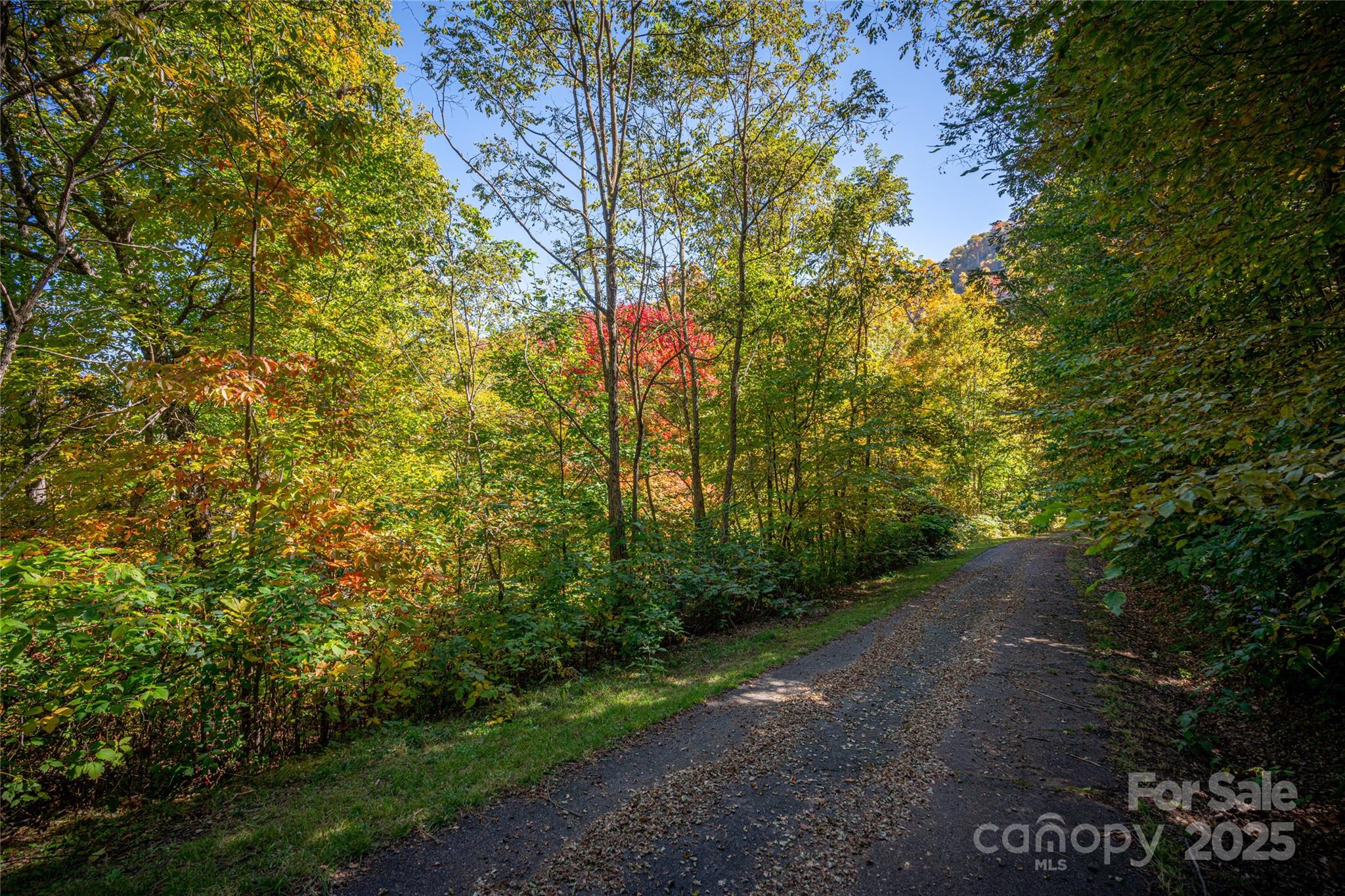 202 Nuthatch Lane Maggie Valley NC 28751