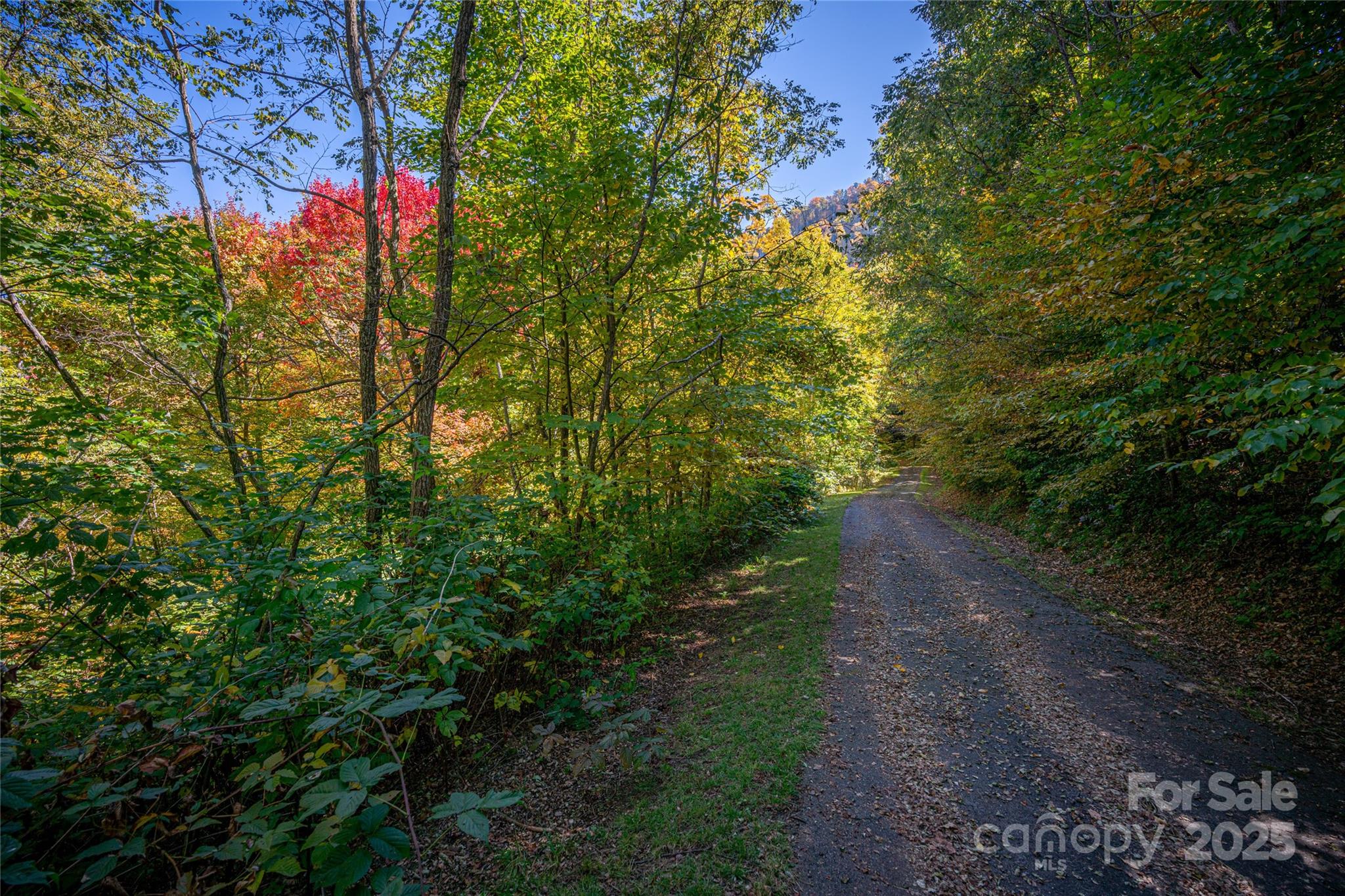 202 Nuthatch Lane Maggie Valley NC 28751