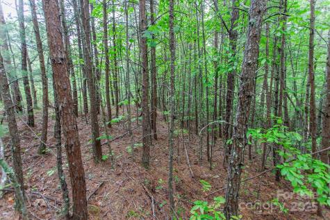 65 Cunningham Road Bryson City NC 28713
