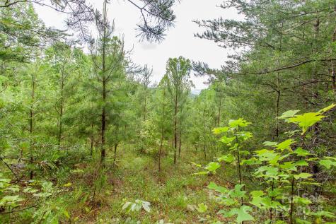 65 Cunningham Road Bryson City NC 28713