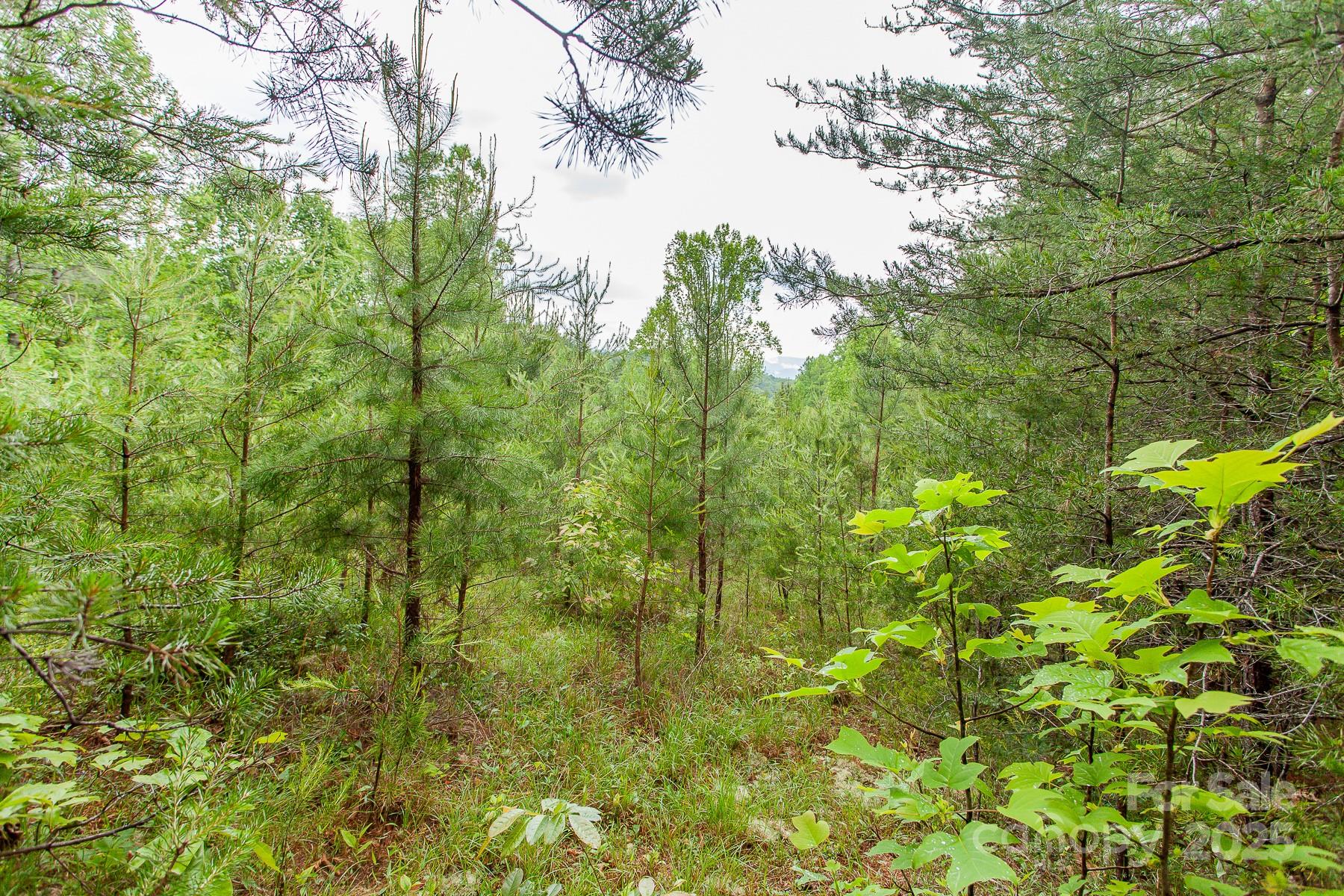 65 Cunningham Road Bryson City NC 28713