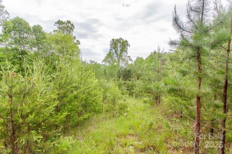 65 Cunningham Road Bryson City NC 28713