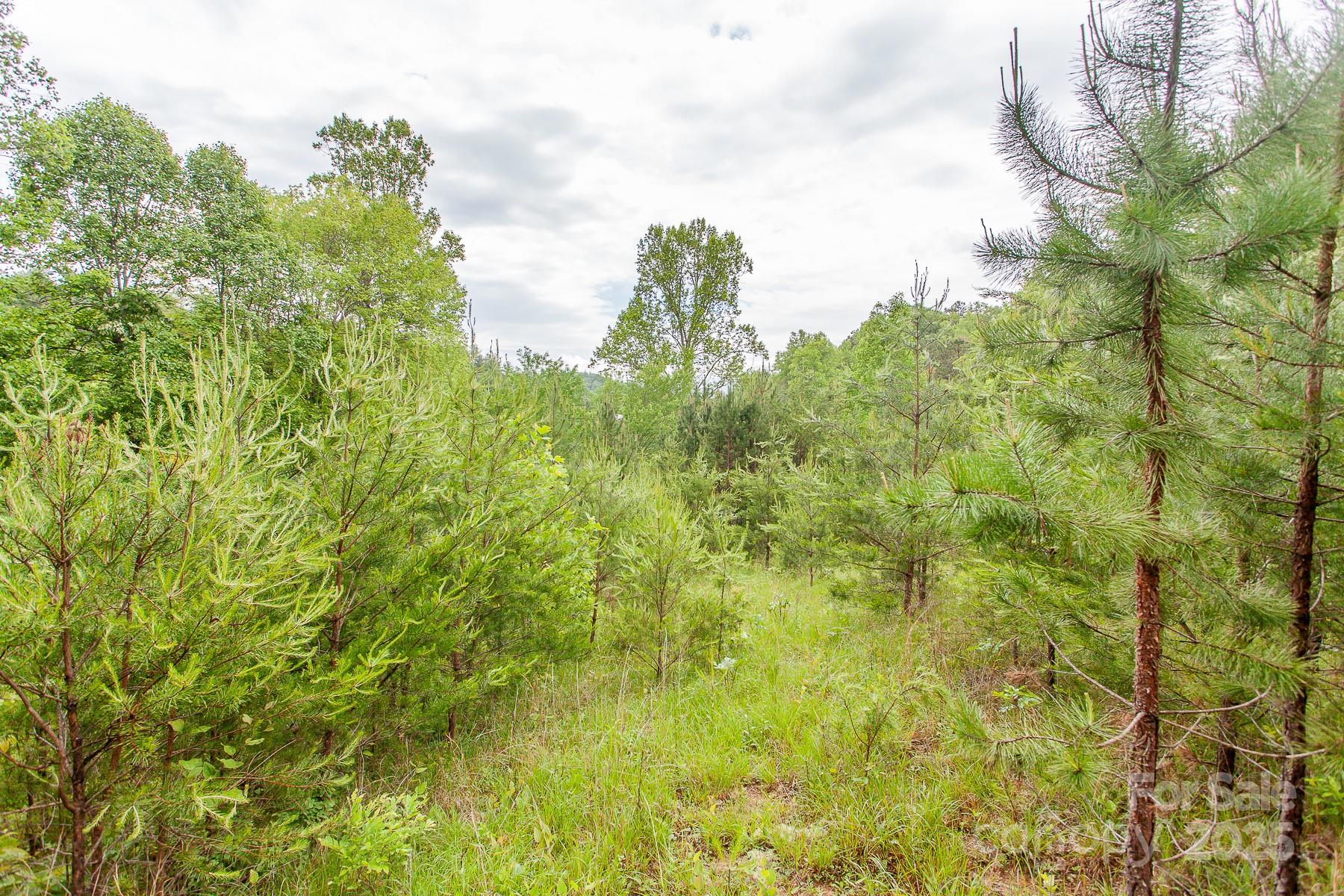 65 Cunningham Road Bryson City NC 28713