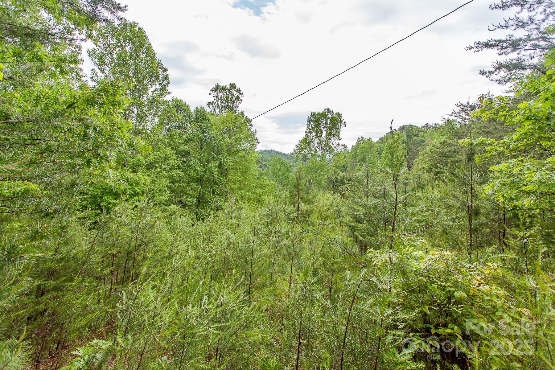 65 Cunningham Road Bryson City NC 28713