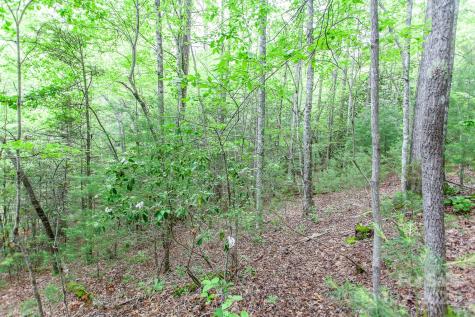 65 Cunningham Road Bryson City NC 28713