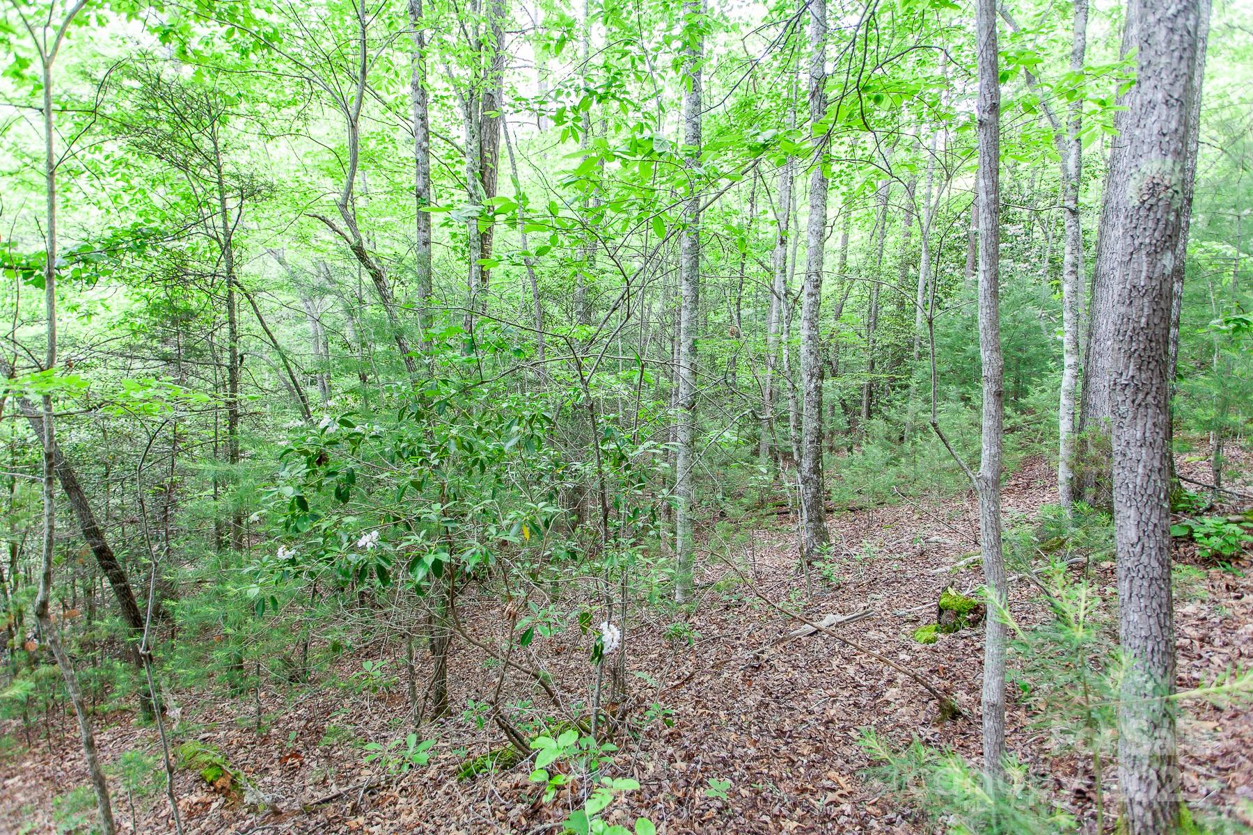 65 Cunningham Road Bryson City NC 28713