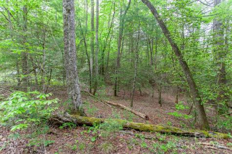 65 Cunningham Road Bryson City NC 28713
