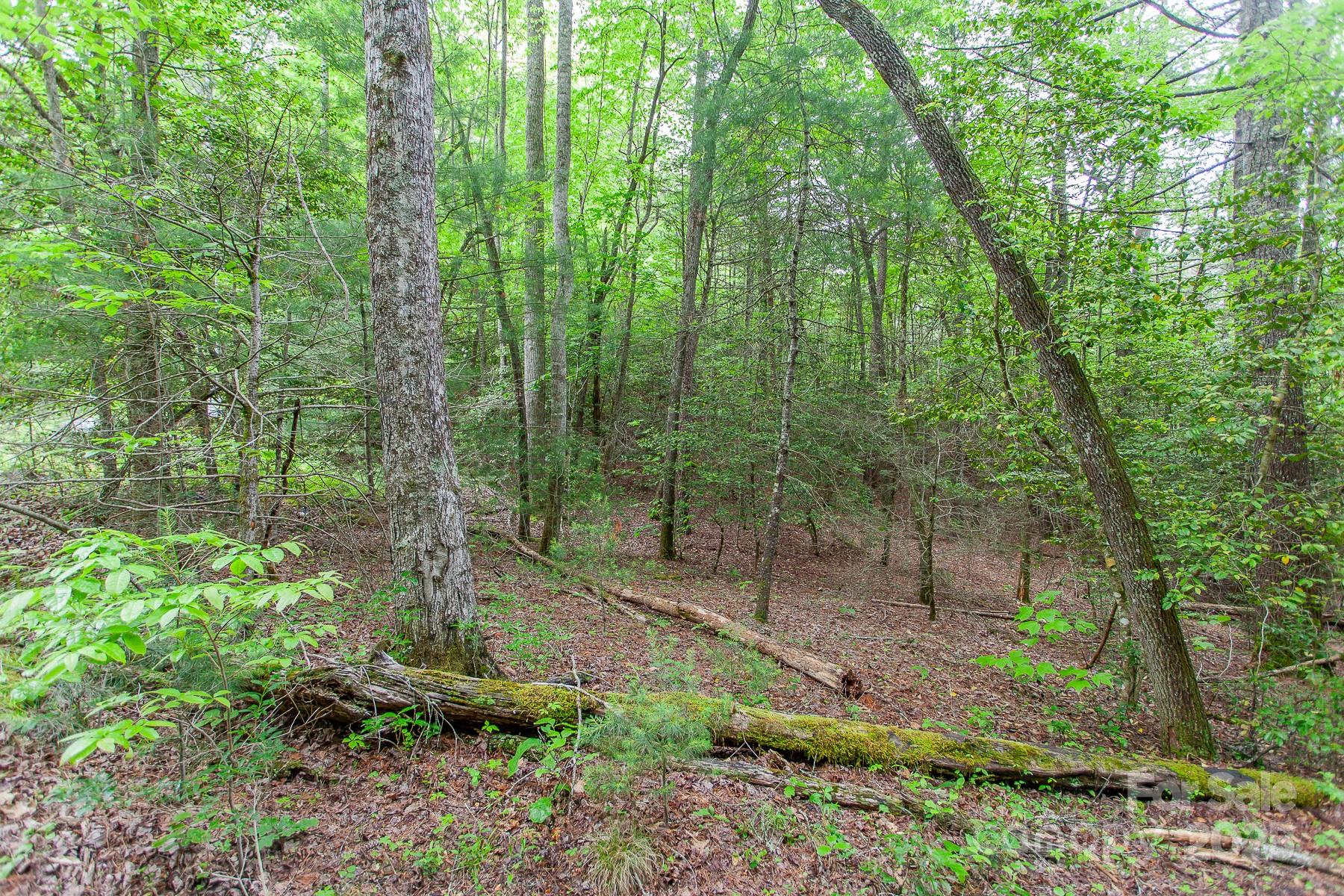 65 Cunningham Road Bryson City NC 28713