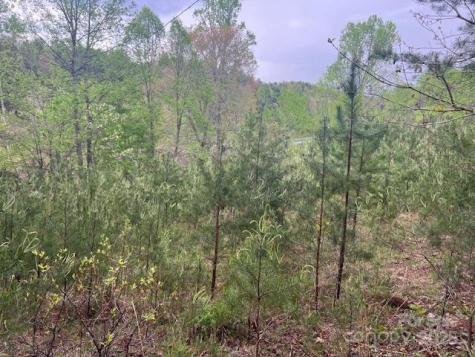 65 Cunningham Road Bryson City NC 28713