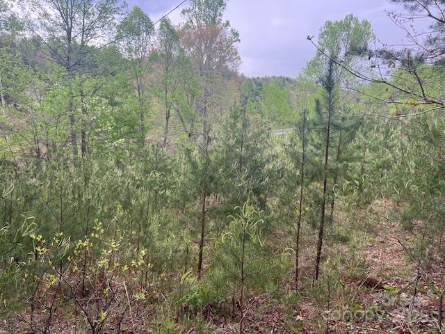 65 Cunningham Road Bryson City NC 28713