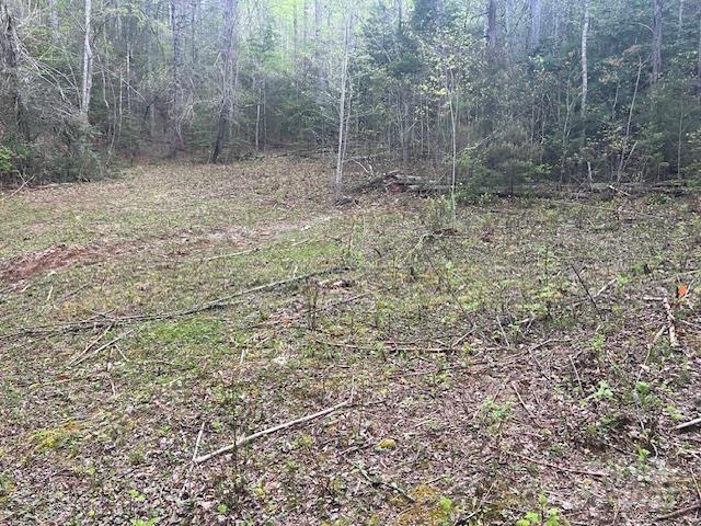 65 Cunningham Road Bryson City NC 28713