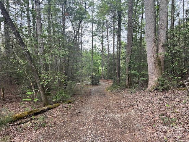 65 Cunningham Road Bryson City NC 28713