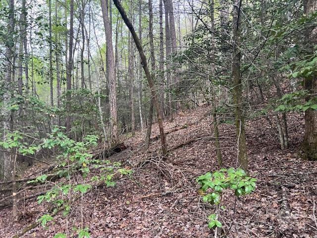 65 Cunningham Road Bryson City NC 28713