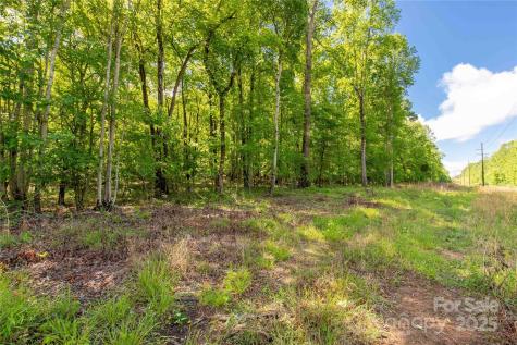 5212 Star Magnolia Court Clover SC 29710